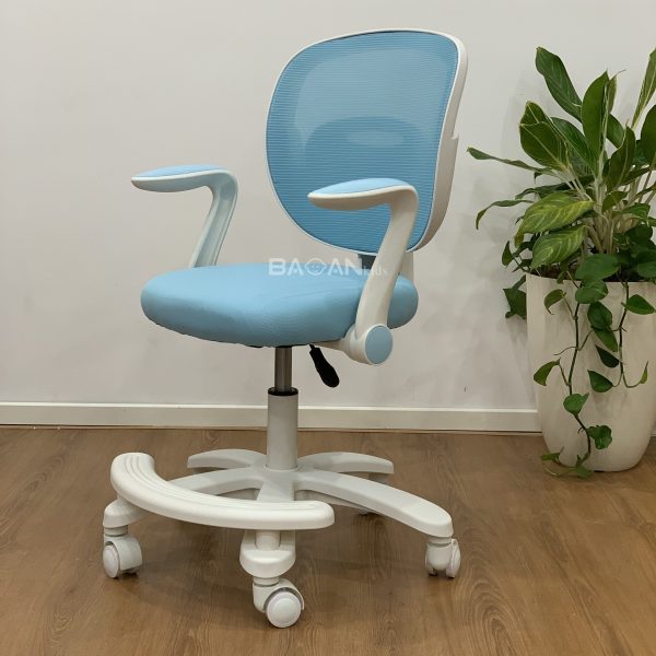 Ghế chống gù giá rẻ G19